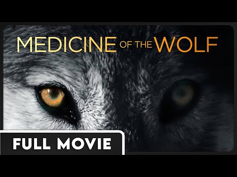 Medicine of the Wolf | Pushed Towards Extinction | Jane Goodall | Award Winning Documentary