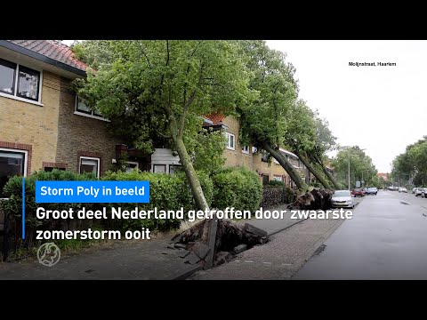 🌪️ Storm in beeld: groot deel Nederland getroffen door zwaarste zomerstorm ooit | Hart van Nederland