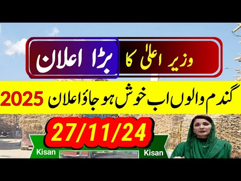 today wheat price in punjab//گندم کا ریٹ/25 '2024/munji makki till sarso/galla mandi rates today