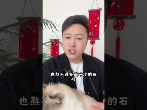 永远都不要原谅，伤害流浪猫狗的人。猫咪 新手养猫 养猫经验分享 科学养宠攻略 猫咪