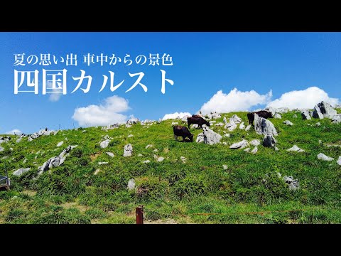 【天空ドライブ】四国カルスト 車で回れる四国のおすすめスポットです 2024夏の思い出