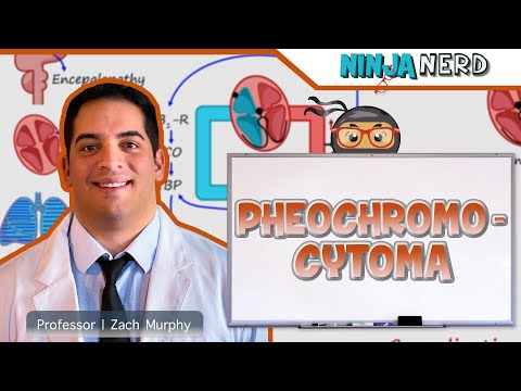 Pheochromocytoma | Clinical Medicine