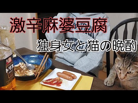 激辛麻婆豆腐で晩酌する独身女の夜 #晩酌  #独身女  #猫  #激辛