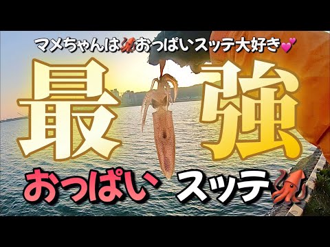 【北海道】【釣り】最強！『おっぱいスッテ』！マメイカはおっぱいスッテ大好き！！