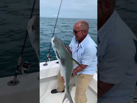 Huge Permit lived to fight another day! #shortvideo #fishing #short #shorts