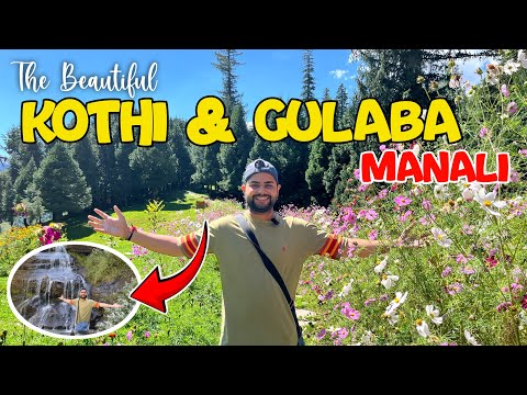 Kothi & Gulaba in Manali | Places to visit in Manali| Best tourists locations in Manali, Himachal