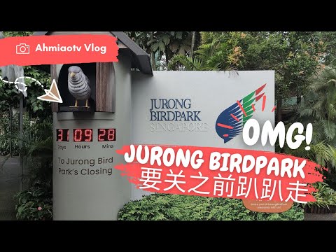 新加坡裕廊飞禽公园 SG JURONG BIRDPARK 关之前趴趴走 | 新加坡哪里玩 | 新加坡好去处 |  Ahmiao Tv