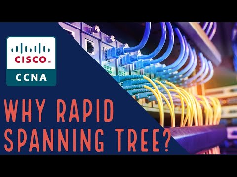 What Is The Purpose Of Rapid Spanning Tree?