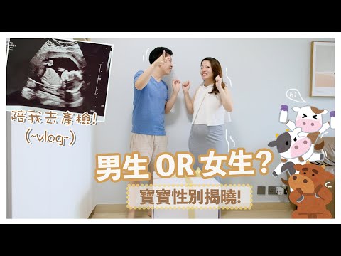 【懷孕日記】陪我去產檢～寶寶性别公佈😎Baby Gender Reveal Vlog