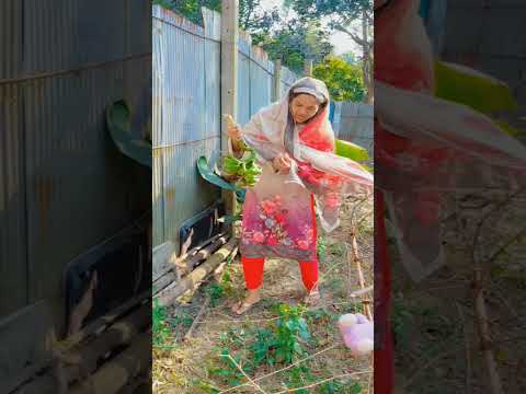 গাছে পোকা ধরার কারণে কাঁচা কলা পারলাম #nishebd #viralvideo #shorts