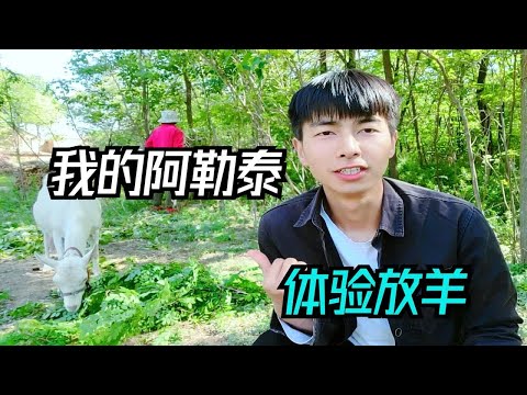 草原上的风吹来，绿意流淌的世界就在脚下！全屏看完叭，真的尽力了