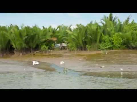 LES RIVES - Boat trip to Can Gio mangrove forest, Vietnam - a UNESCO listed biosphere eco-adventure