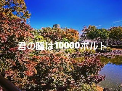 君の瞳は10000ボルト　～エアロフォンで吹いてみた