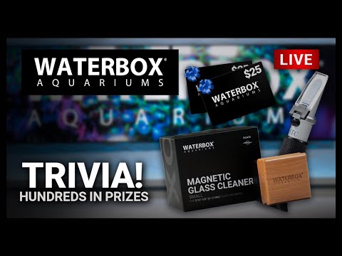 Episode 146: How well do you know Waterbox?