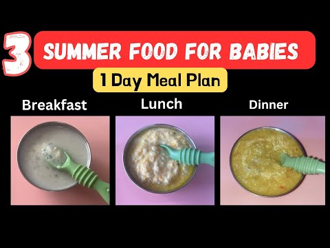 3 Summer Food Recipes for Babies | 1 Day Meal Plan for 7 M+ Babies | Quick and Nutritious