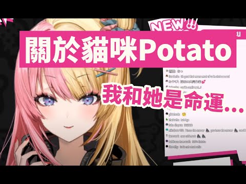 【彩虹社EN中文】關於最近離開的貓咪Potato【虎姬Kotoka中文】