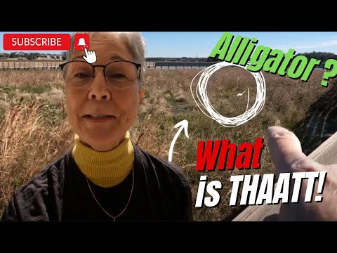 🌿 **Exploring Nature's Wonders: WITH A SURPISE ENDING!**🐊