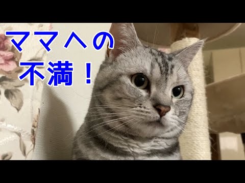 【あんなちゃんのひとり言】筋トレするママへの不満！おしゃべりペット