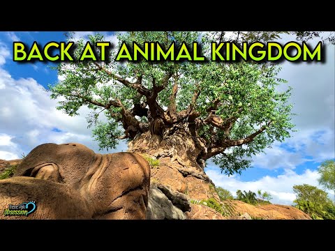 Last Ride on Dinosaur, Exploring The Park & More! Animal Kingdom Vlog