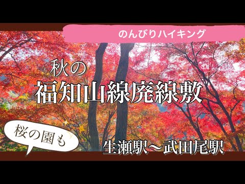 JR福知山線廃線敷を歩く🍁✨のんびりハイキング行って来ました♪