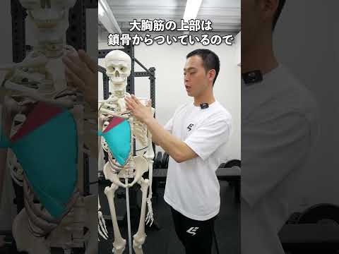 【柔軟性】ベンチプレスに必要な大胸筋のテスト方法 #筋トレ #肩痛