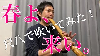 松任谷由実【春よ、来い】尺八で吹いてみた　cover by SHAKUHACHI bamboo flute