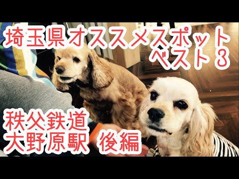 大野原駅『奇跡こんな所にオシャレなドッグカフェ』犬好き必見