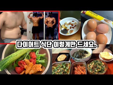 체중 1kg 당 단백질 2g 섭취하는 식단 영상