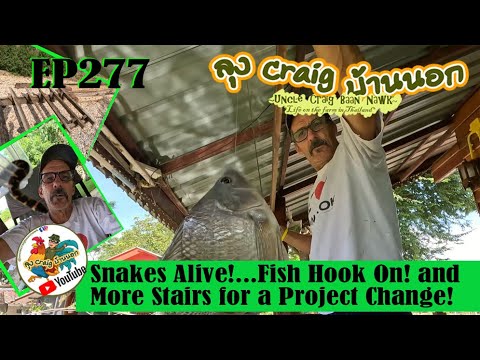 EP277 Snakes Alive!...Fish Hook On! and More Stairs for a Project Change!