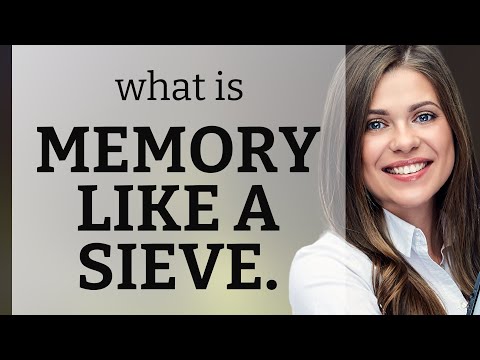 Unlocking the Meaning: "Memory like a Sieve"