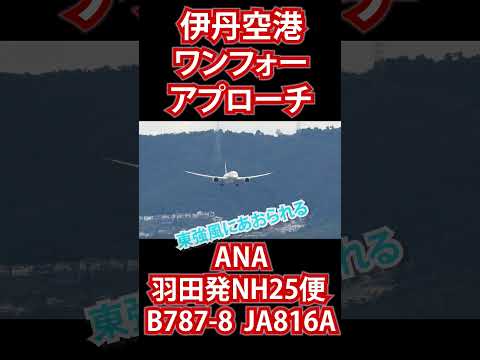 東より強風にあおられるワンフォーアプローチ