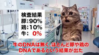 【ミートホープ】食の安全を揺るがした牛肉偽装事件 #猫マニ #猫ミーム