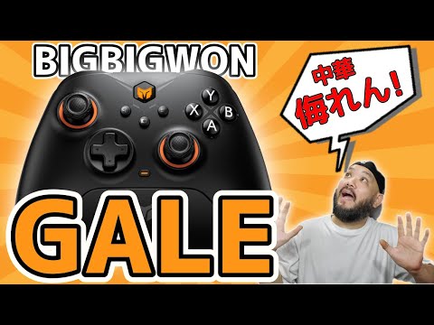 【PAD】非常に無味無臭ｗ「BIGBIG WON GALE」コントローラー [PC] [SWITCH] [モバイル]