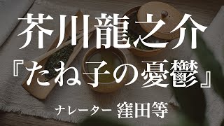 『たね子の憂鬱』作：芥川龍之介　朗読：窪田等　作業用BGMや睡眠導入 おやすみ前 教養にも 本好き 青空文庫