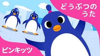 ペンギンダンス | The Penguin Dance | どうぶつのうた | ピンキッツ童謡