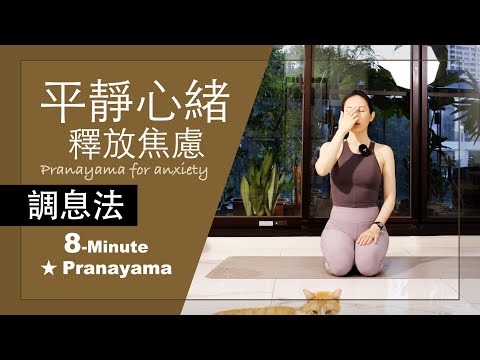 【平靜心緒 | 釋放焦慮】8分鐘 #pranayama ★ #緊張  #自律神経 #舒緩壓力 #放鬆 #陰瑜伽師資 #焦慮 #瑜珈師資培訓 mindfulness #正念 #呼吸法