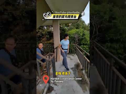 Abandoned Hornbill Conservation Center Sg.Panjang 废弃犀鸟观望塔