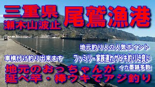 #126三重県尾鷲漁港瀬木山投げサビキ釣りサビキかごにアミエビ入れてただただ海に向かって投げる高級魚大物が釣れる人気河口ポイント車横付け釣り出来ます波止が低いので安全ファミリー家族連れサビキ釣りに良い