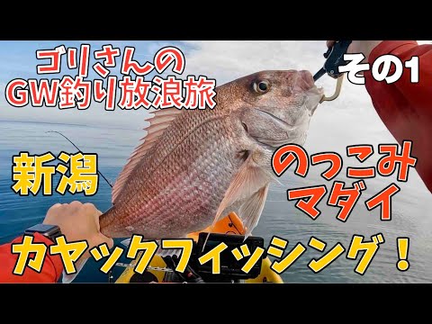 【ゴリさんのGW釣り放浪旅】新潟でのっこみマダイカヤックフィッシング！【その１】