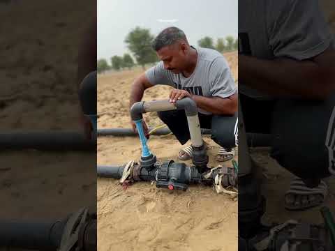 आप ख़ुद तय कीजिये मूँगफली की खेती में लाभ🌱🕊️💯 हानि100#peanutfarm#kheti#kheti🌱🌾badi#minivlog#kisan🧑‍🌾