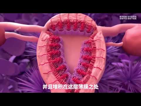 女性的小秘密，男生的必修课 #女性 #生理结构 #人体