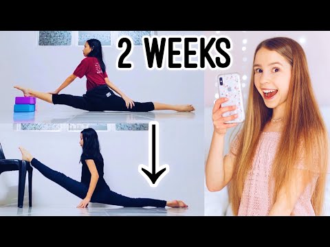 Reacting to your Flexibility Transformations! | Part 2