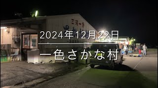 【衝撃】珍しいサメ(活け)が市場に出現⁉︎『一色さかな村』日本最強朝市