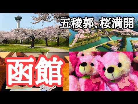 【函館観光】2024五稜郭公園の桜満開　撮影：2024年4月27, 28日　函館のあちこちに名探偵コナンと怪盗キッドが参上