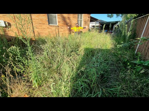 ELDERLY Grandma STUNNED There Was A Driveway & Path Under Huge OVERGROWN Weed RIDDEN Lawn