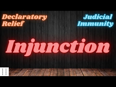 Court 101:  Injunction, Declaratory Relief and  Judicial Immunity