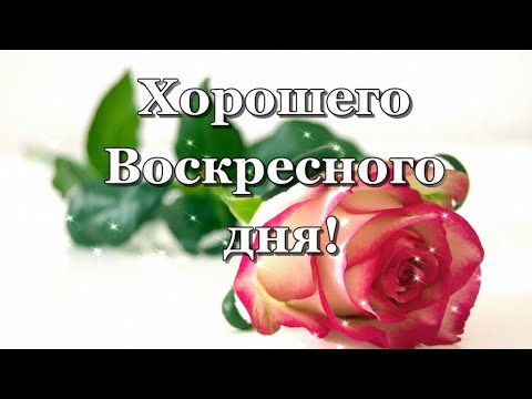 Хорошего Воскресного Дня! Видео пожелание