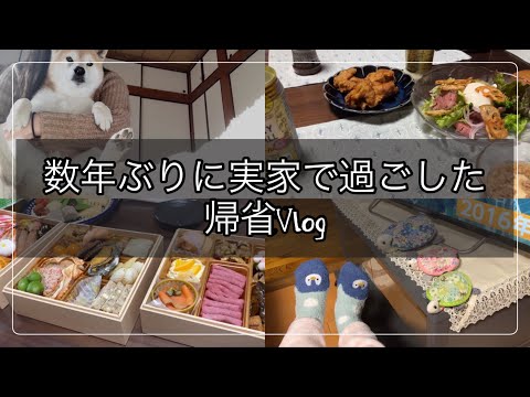 Sub）【年末年始】久しぶりに実家に帰ったので愛犬をペットYouTuberにさせようの回【お腹すいた】