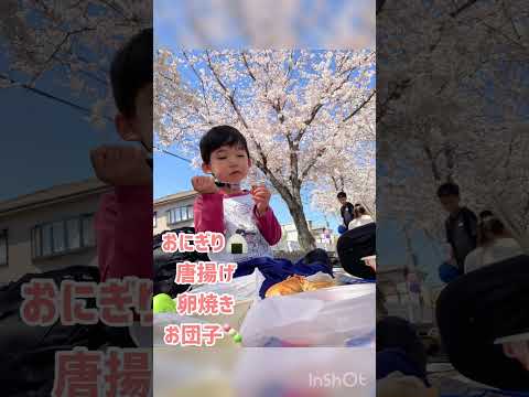 【桜満開！】4歳、9歳とお弁当持ってお花見🌸花より団子の兄弟