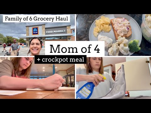 ALDI GROCERY HAUL FAMILY OF 6 | MOM OF 4 DAY IN THE LIFE | EASY CROCKPOT MEALS FOR THE FAMILY